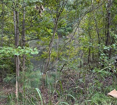 4th image of 2620 Washington Highway