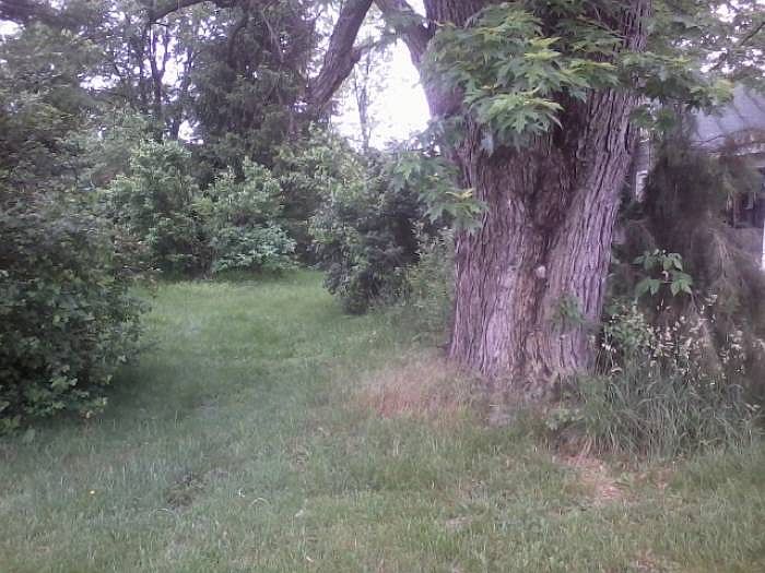 2nd image of 159 Lee Ave