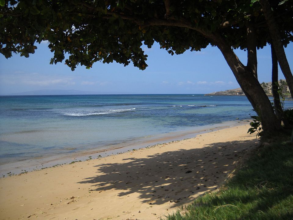 1st image of 250 Hauoli St APT 307