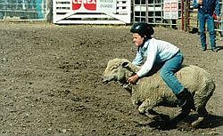 Unleash Your Inner Cowboy!
