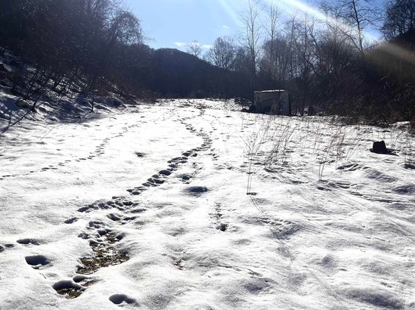 TRACT 1 Fill Hollow Rd, Tunnelton, WV 26444