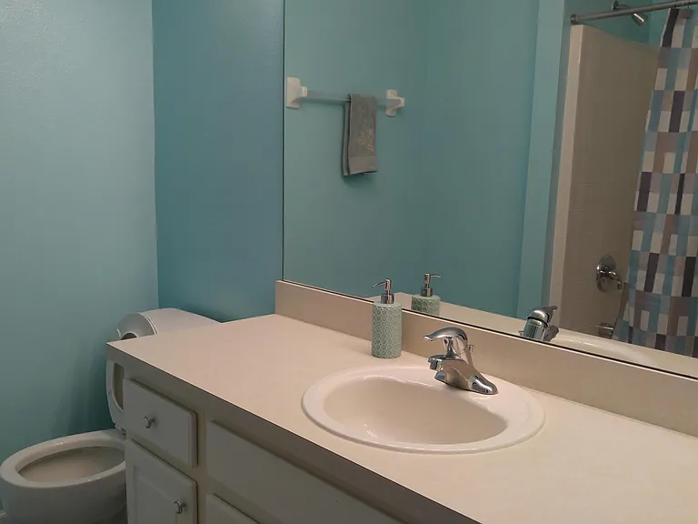 3528 Twisted Tree Ln — Photo 14