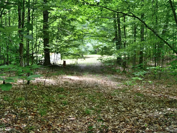 Vacant Maple Hl, Fairview, MI 48621