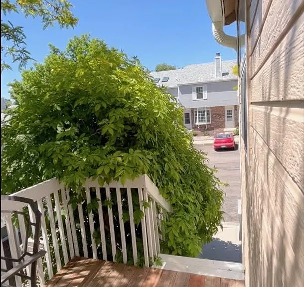 1931 Giltshire Dr — Photo 19