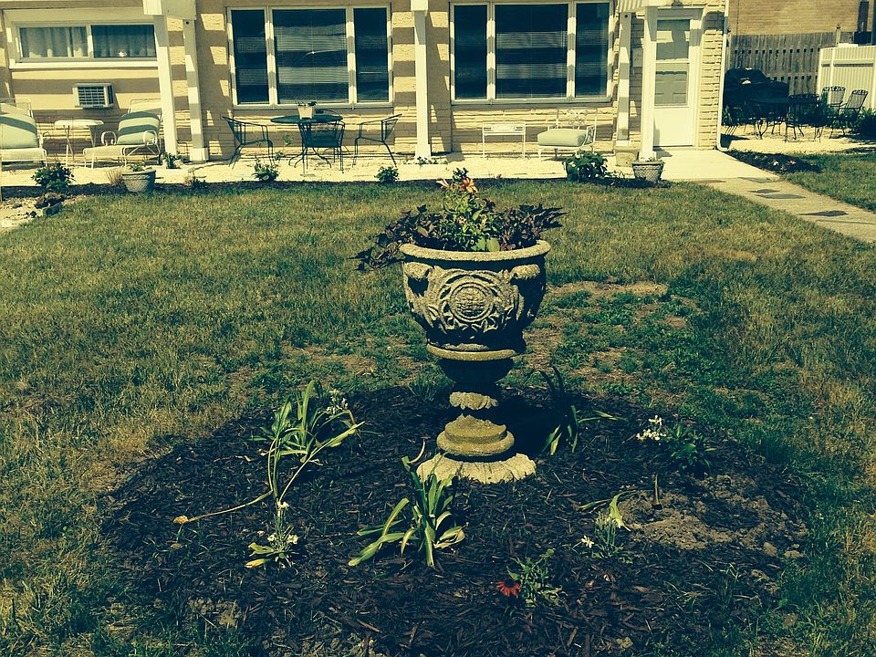 Front yard