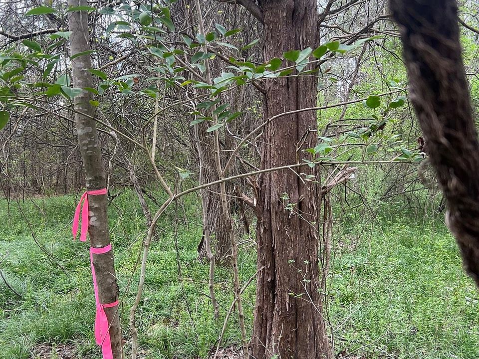 2nd image of 11055 Graybark Rd
