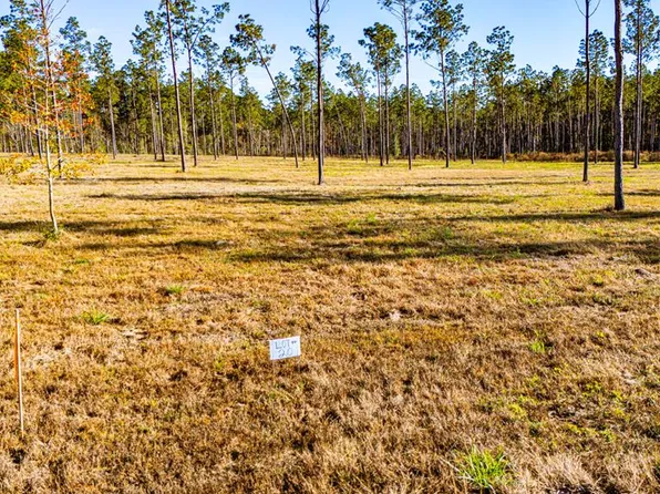 LOT 20 Big Buck Dr, Moscow, TX 75960