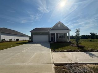 348 Hadley Springs Ave, Longs, SC 29568