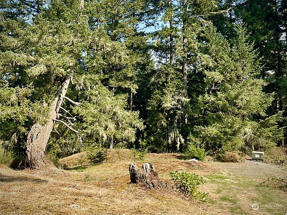 5th image of 584 Woodpecker Lane