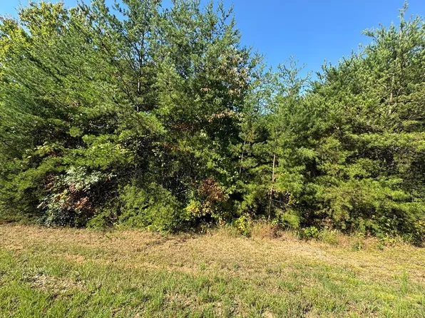 115 Blackhawk Ln, Turtletown, TN 37391