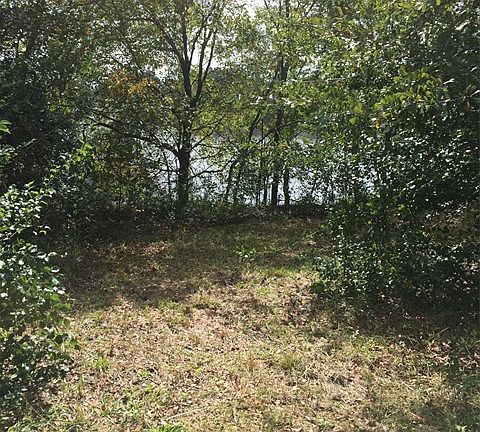 4th image of 70 Walker Lake Dr
