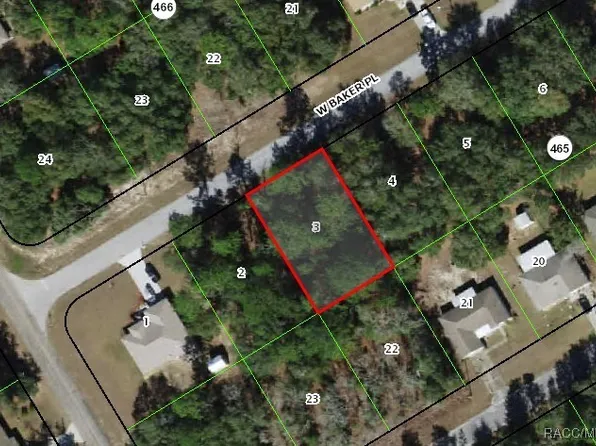 298 W Baker Pl, Citrus Springs, FL 34434