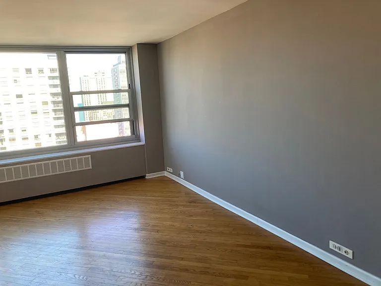 1255 N Sandburg Ter — Photo 1