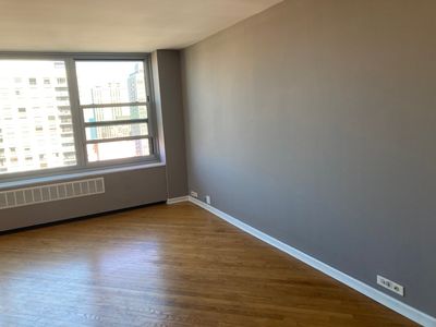 1255 N Sandburg Ter, Chicago, IL, 60610