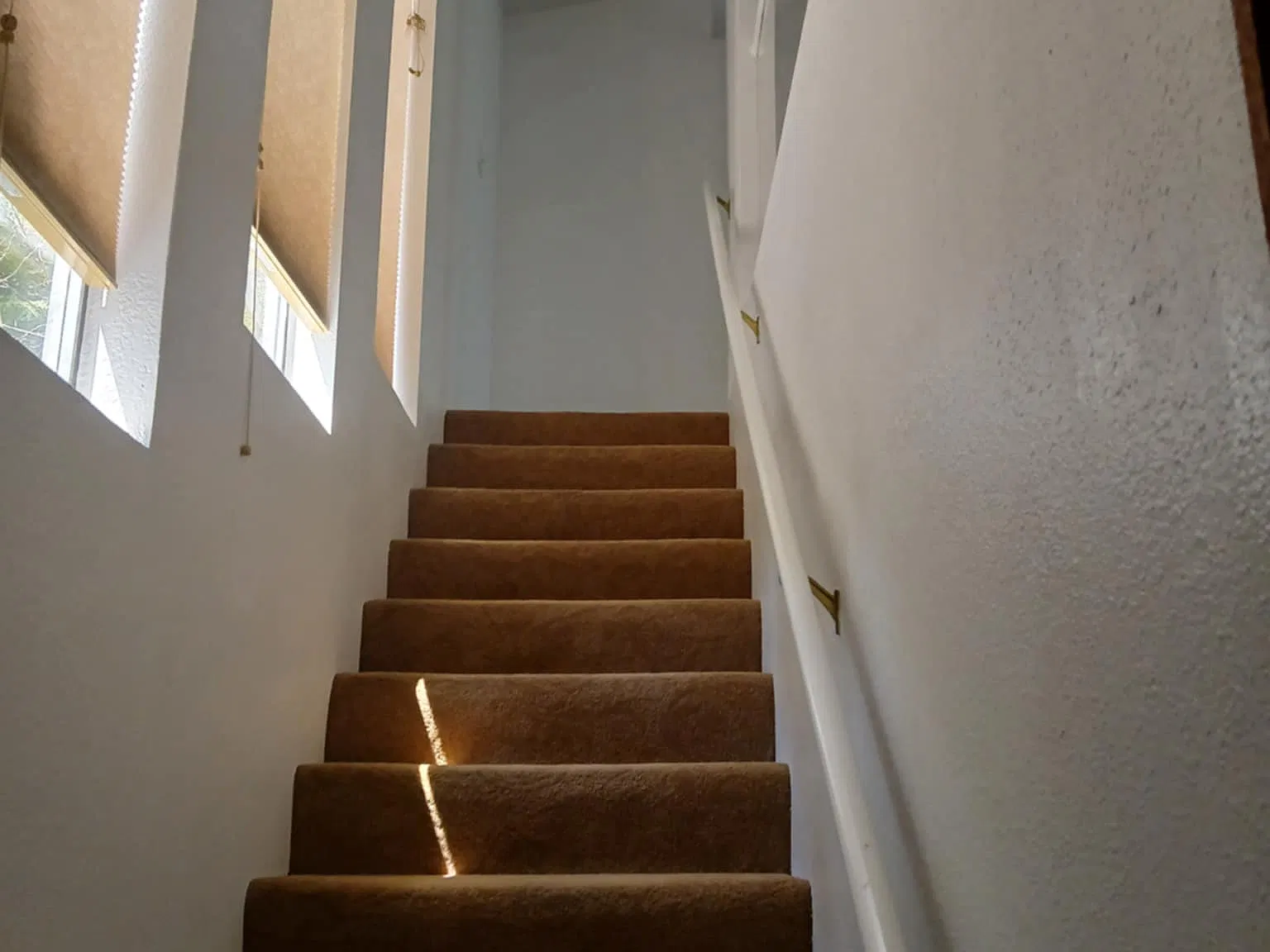 Studio, 650 sqft, $1,200 — Photo 4