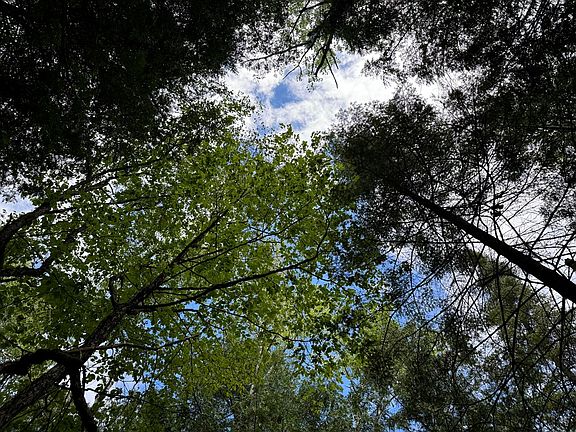 5th image of LOT 1 Horseshoe Bay Rd