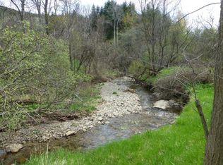 41 Lang Rd, Spencer, NY 14883