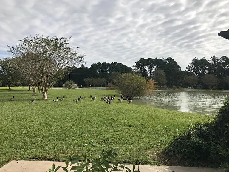 107 Enchanted Way — Photo 67