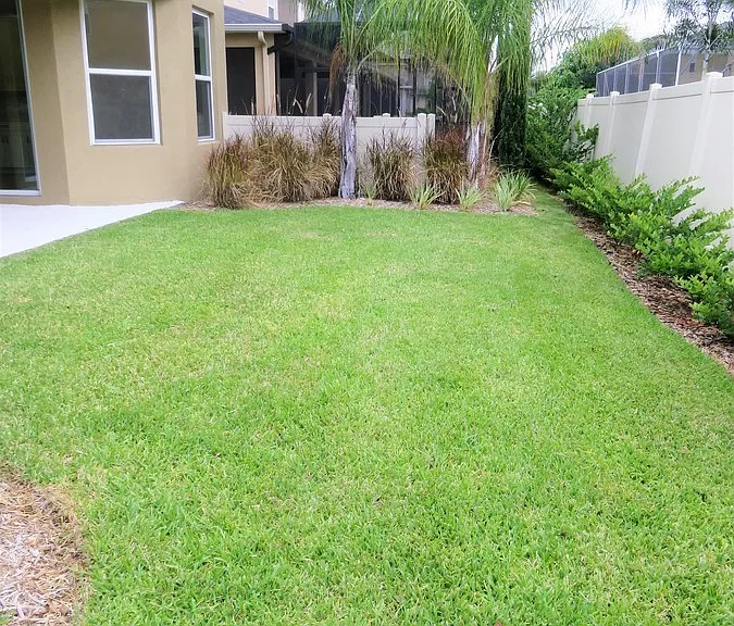 8828 Tropical Palm Dr — Photo 29