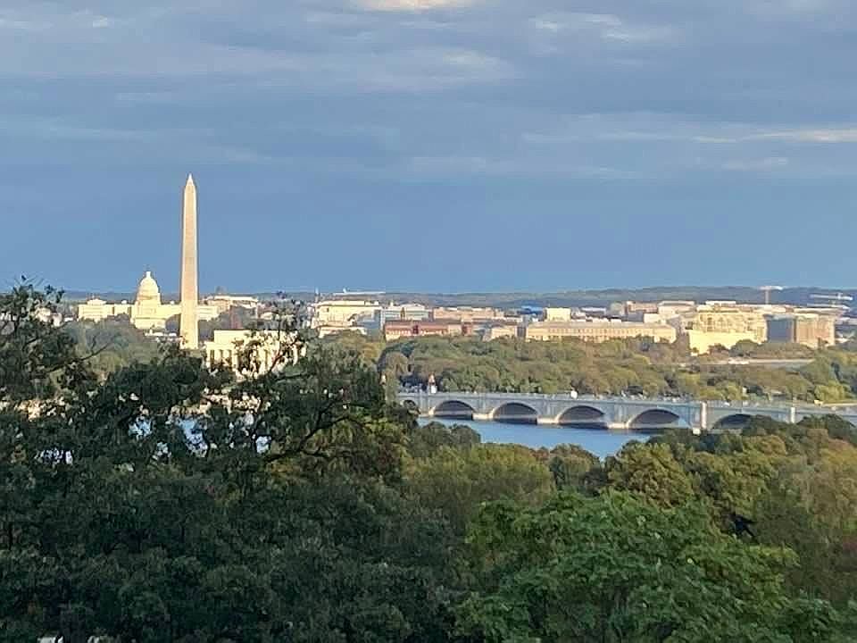 The view 