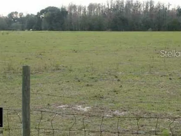 11111 Burrell Rd, Odessa, FL 33556