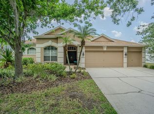 5317 Pagnotta Pl, Lutz, FL 33558