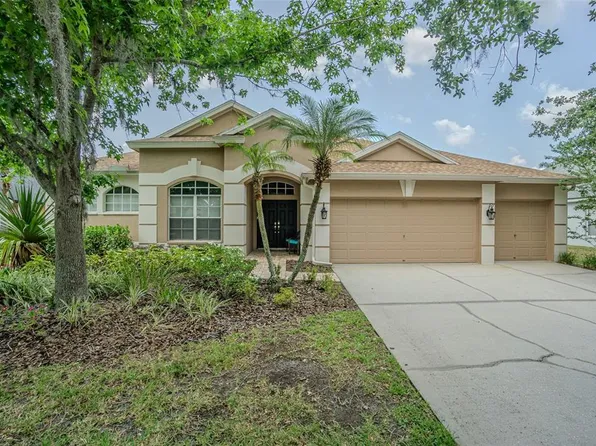 5317 Pagnotta Pl, Lutz, FL 33558