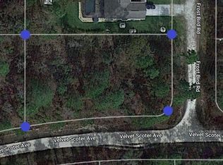 13215 Velvet Scoter Ave, Brooksville, FL 34614