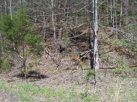 4th image of 9 Rail Hill Ln Lot 9