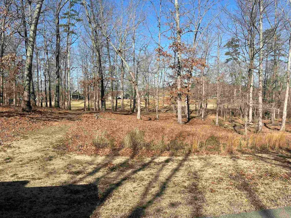 252 Old South Rd, Counce, TN 38326