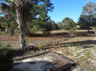 0 Hensel Rd, Pt Orange, FL 32127