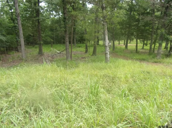 944 Whippoorwill Dr, Murchison, TX 75778