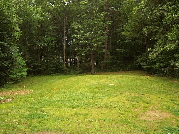Private Back Yard except for Deer