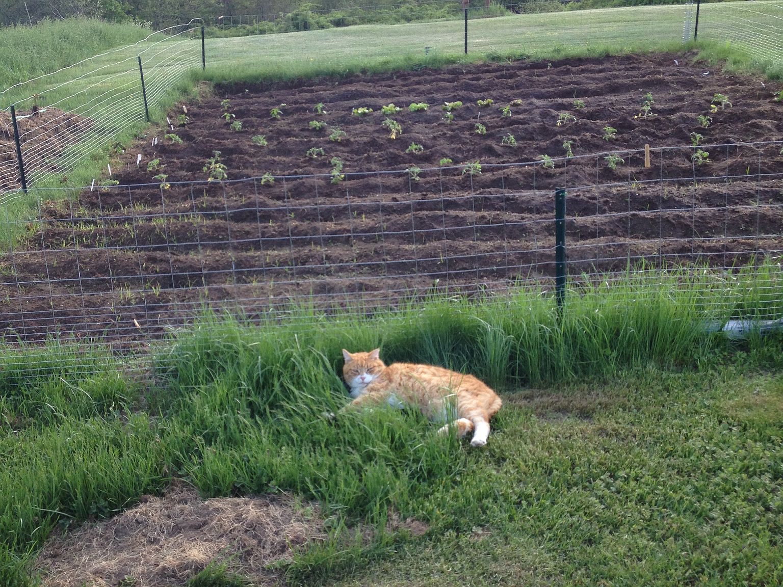 58 Margaret St, Monson, MA 01057 Zillow