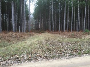 Morton Rd, Manistee, MI 49660