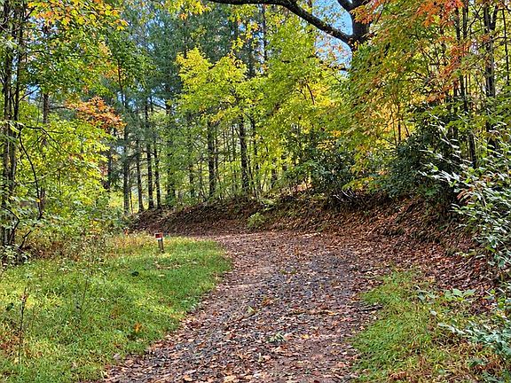 4th image of 0 Bud Mountain Rd