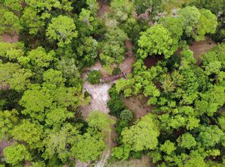 132 HARWOOD Street, Georgetown, FL 32139
