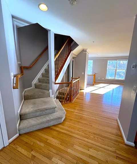 10312 Nareen St #1 — Photo 6