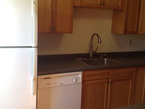 Kitchen- Dishwasher & Garbage disposal