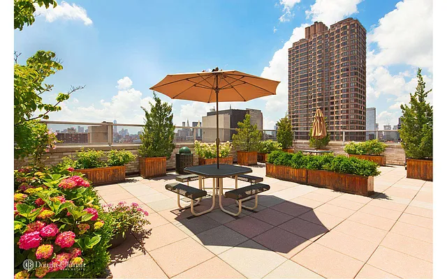 Rented by Douglas Elliman | media 16