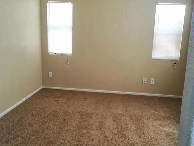 1860 Crystal Gem St — Photo 8