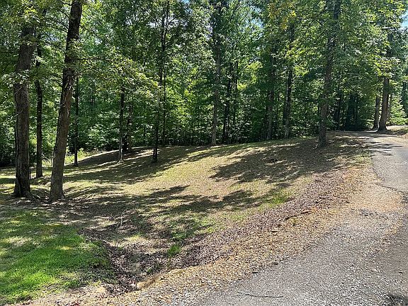 5th image of 81 County Road 279