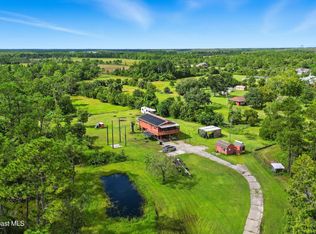 23300 Sisler Ave, Christmas, FL 32709