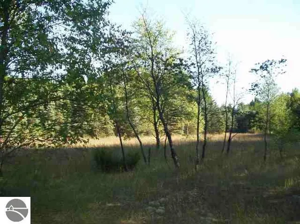 0 School St SW Lot 4, South Boardman, MI 49680