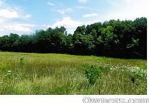 Looking East from road