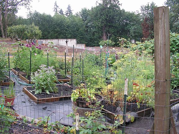 Fenced Garden
