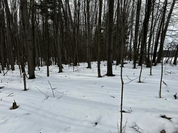 10280 W Remus Rd, Remus, MI 49340