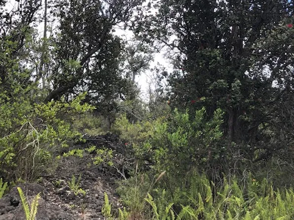 Paradise Pkwy Lot 15, Ocean View, HI 96737
