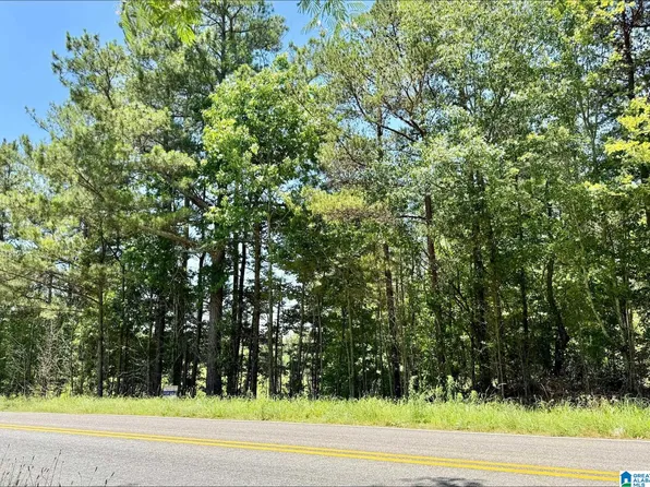 0 County Road 82, Wedowee, AL 36278