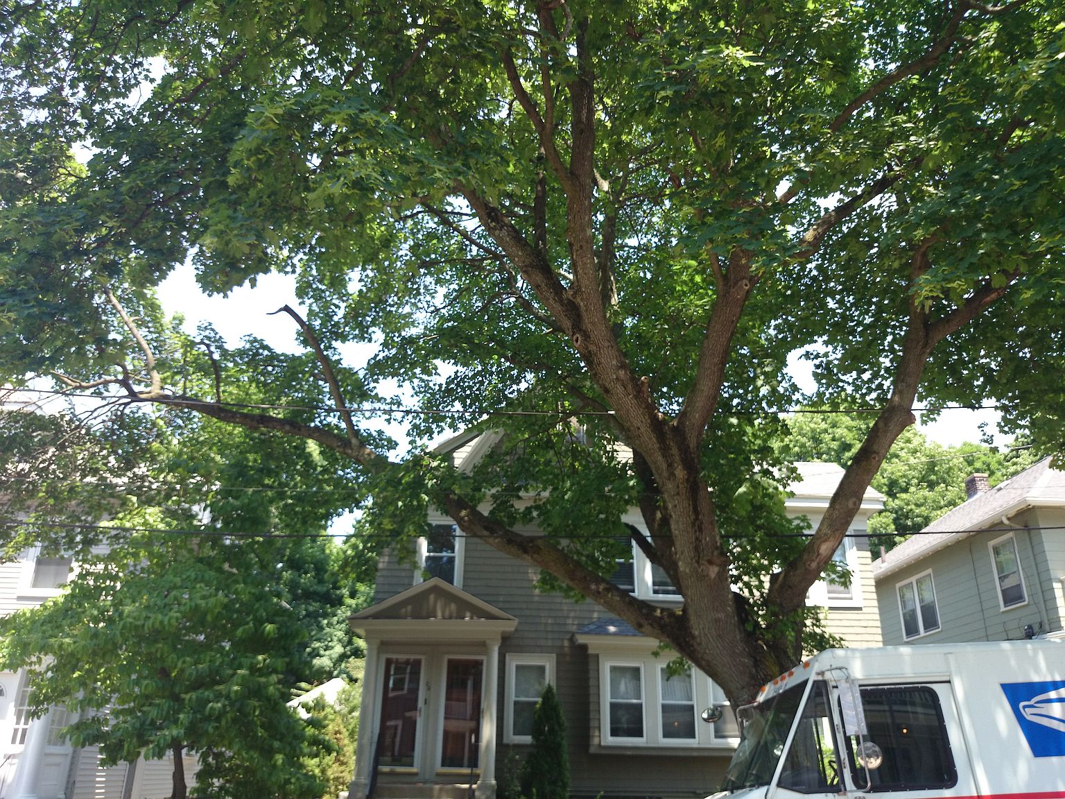 35 Castleton St, Jamaica Plain, MA 02130 Zillow